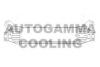 AUTOGAMMA 104438 Intercooler, charger